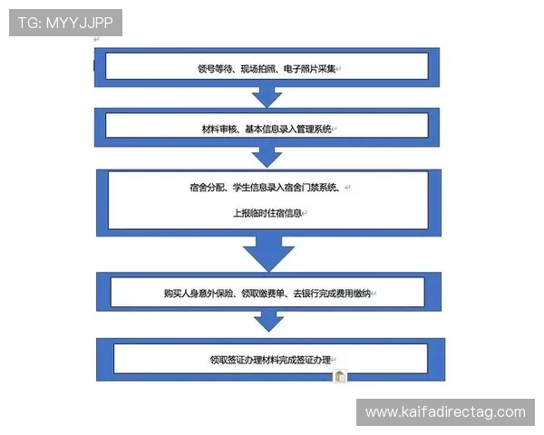 凯发最新登录入口登录流程详解帮助新手快速掌握登录步骤与注意事项